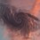 windspace
